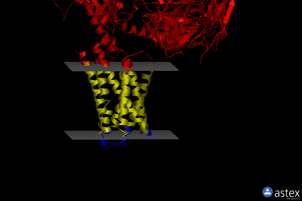 Membrane view of 8dwc
