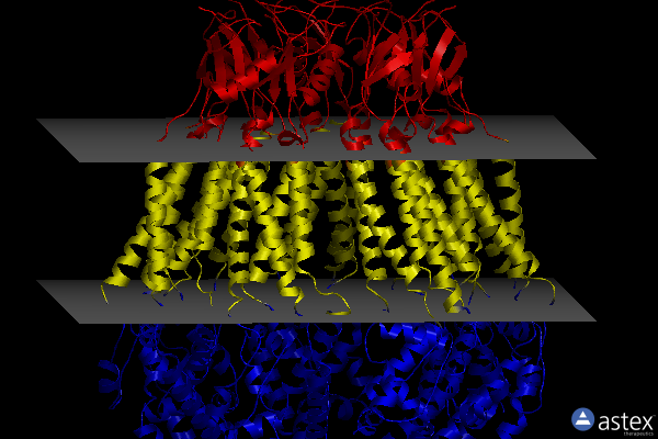 Membrane view of 8dxn
