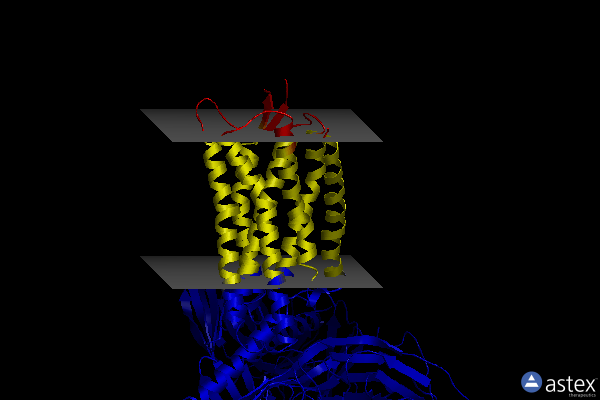 Membrane view of 8dzp