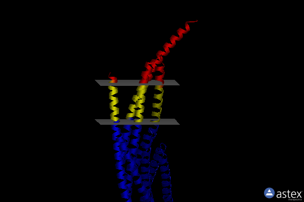 Membrane view of 8e2j