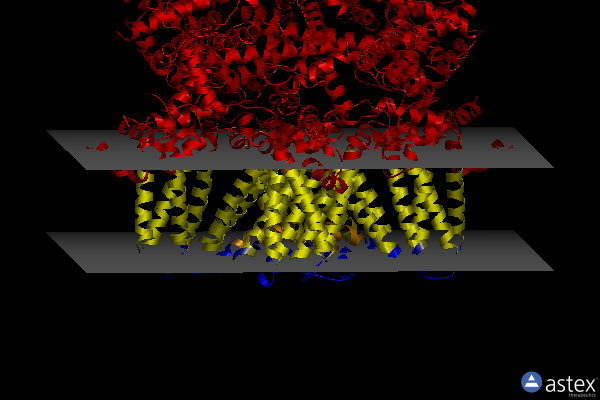 Membrane view of 8e4m