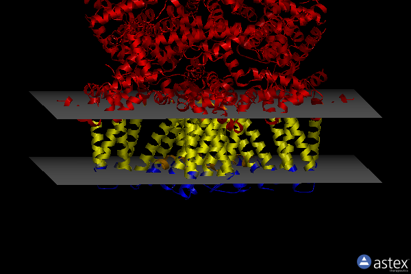 Membrane view of 8e4n