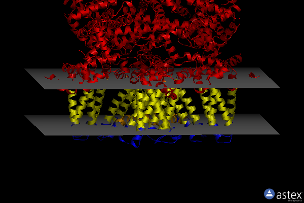 Membrane view of 8e4o