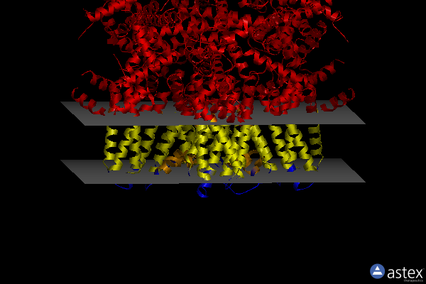 Membrane view of 8e4q