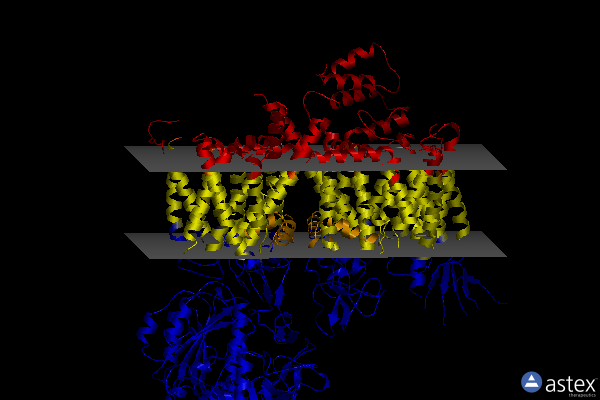 Membrane view of 8e58
