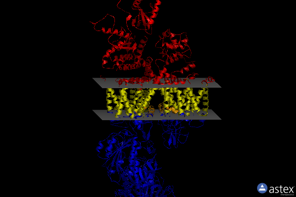 Membrane view of 8e59