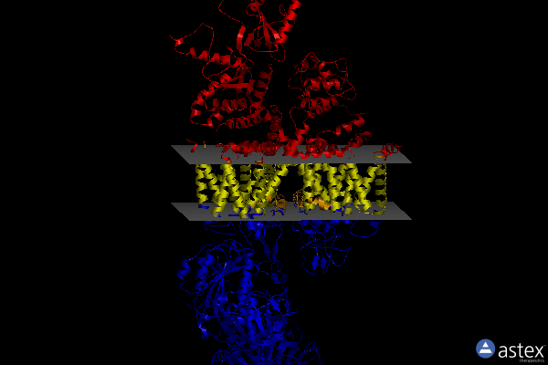 Membrane view of 8e5b