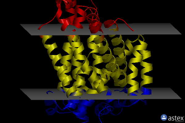 Membrane view of 8e5v