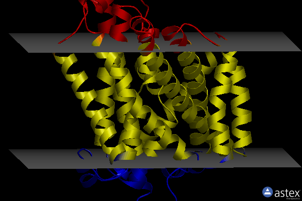 Membrane view of 8e6i