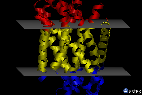 Membrane view of 8e6n