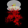 Membrane view of 8e6t