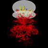 Membrane view of 8e6u