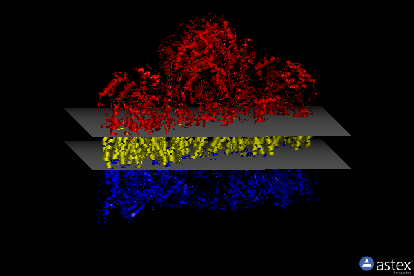Membrane view of 8e7s