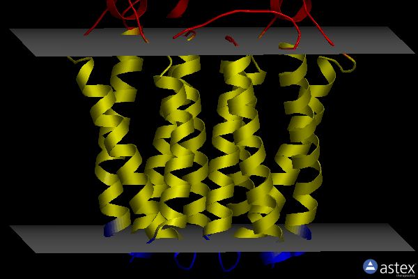 Membrane view of 8e7x