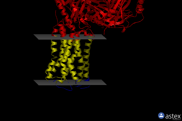 Membrane view of 8e9x