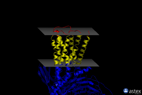 Membrane view of 8e9y