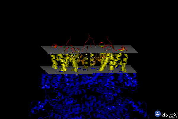 Membrane view of 8ed8