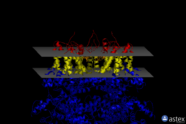 Membrane view of 8ed9