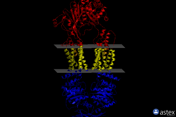 Membrane view of 8eeb