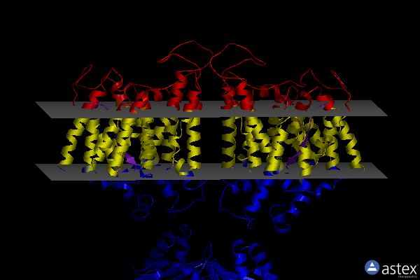 Membrane view of 8eeq