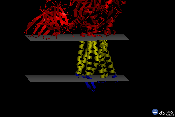 Membrane view of 8ef6