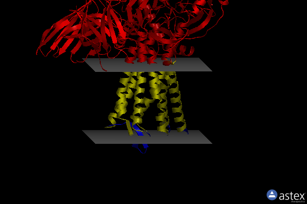Membrane view of 8efl