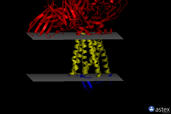 Membrane view of 8efo
