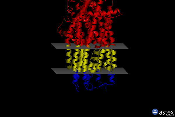 Membrane view of 8eiq