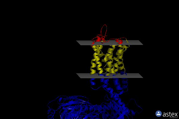 Membrane view of 8ejk