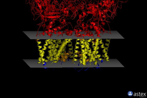 Membrane view of 8ekp