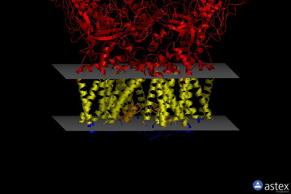Membrane view of 8ekr