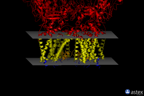 Membrane view of 8eks