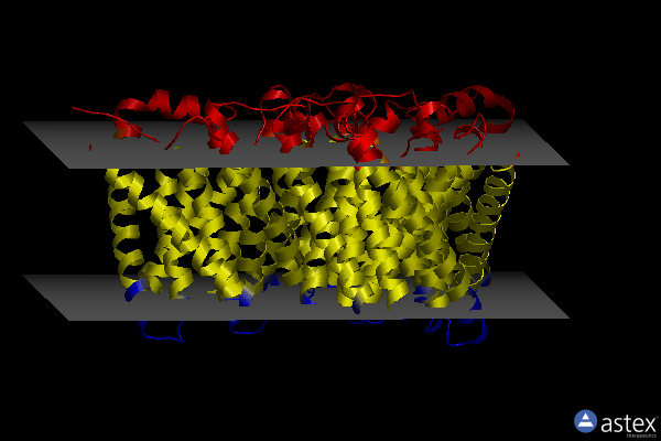 Membrane view of 8en9