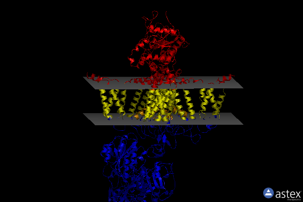 Membrane view of 8eog