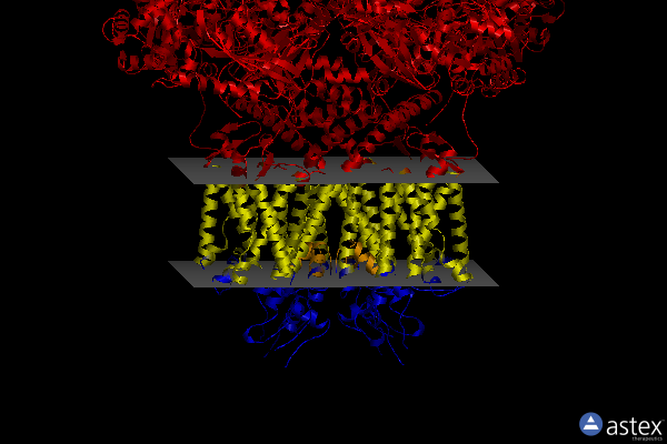 Membrane view of 8eow