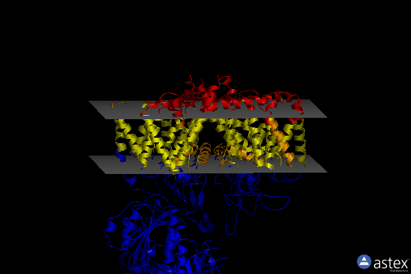 Membrane view of 8epm