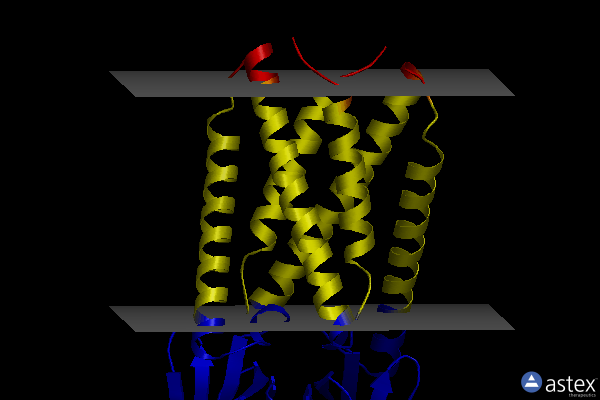 Membrane view of 8eqj
