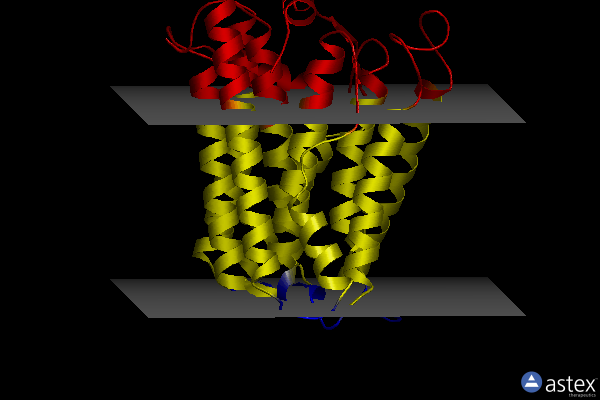 Membrane view of 8erp