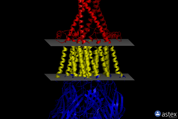 Membrane view of 8esk