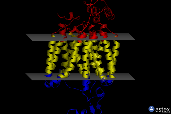 Membrane view of 8et7
