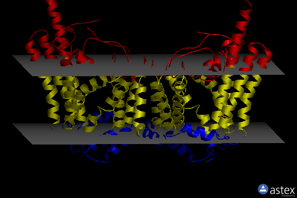 Membrane view of 8etm
