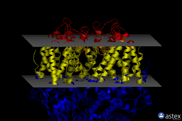 Membrane view of 8eu3