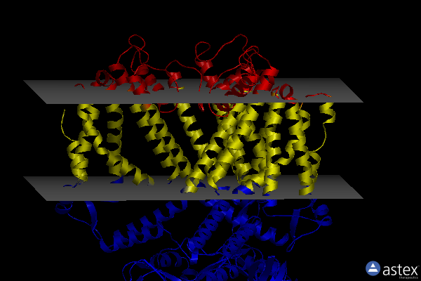 Membrane view of 8ev8