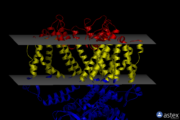 Membrane view of 8eva