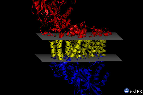 Membrane view of 8evu
