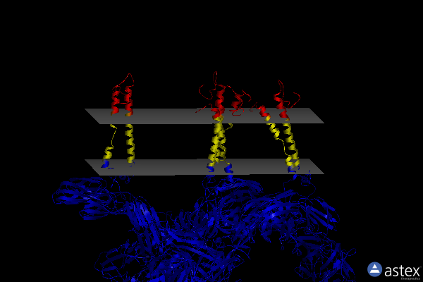 Membrane view of 8ewf