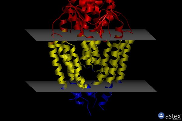 Membrane view of 8exr