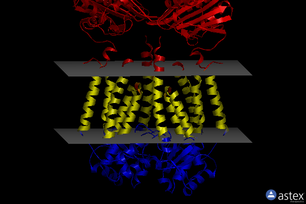 Membrane view of 8ext