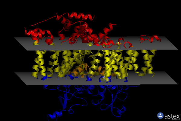Membrane view of 8f0p