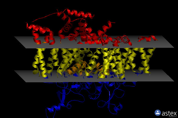 Membrane view of 8f0q